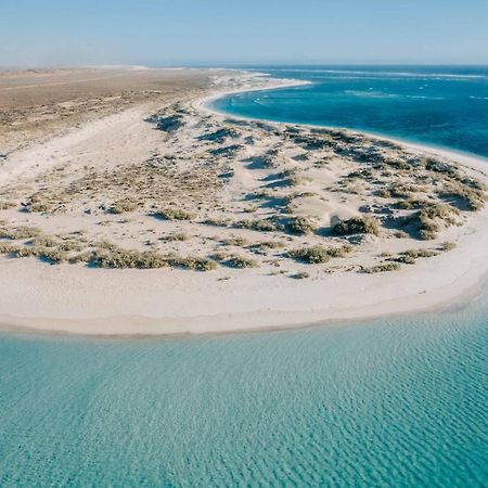 Gnaraloo Station - Homestead Carnarvon Exteriér fotografie